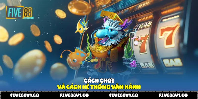 Cách chơi và cách hệ thống vận hành