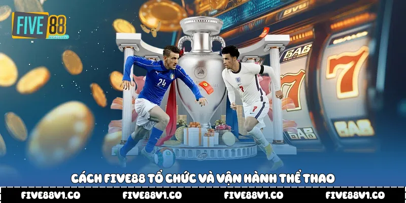 Cách Five88 tổ chức và vận hành Thể thao