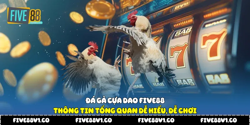 Đá gà cựa dao