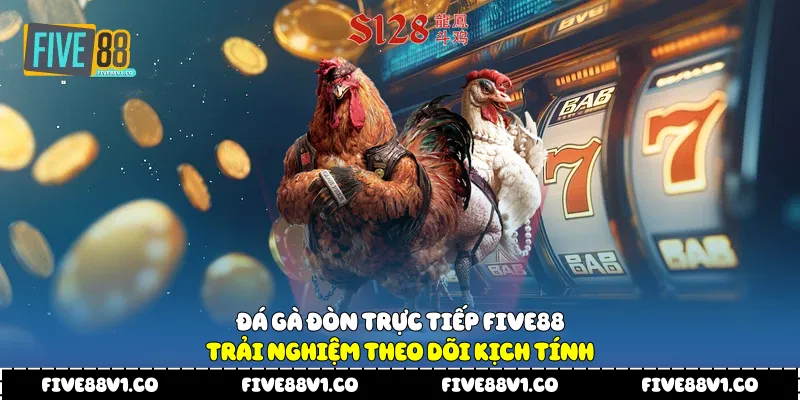 Đá gà đòn trực tiếp