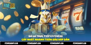 Đá gà trực tiếp C1