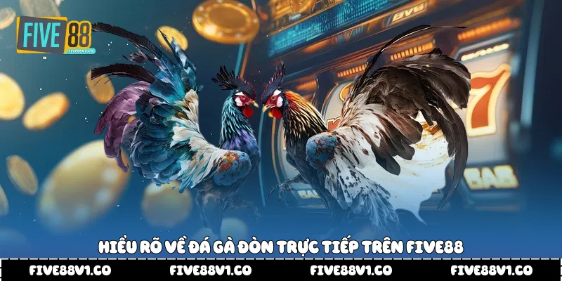 Hiểu rõ về đá gà đòn trực tiếp trên Five88